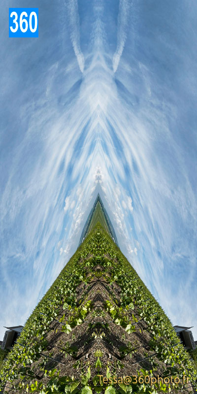 Photo d'art à 360° | Paysage de vignoble vertical | Leasing ou achat | 360 Photo