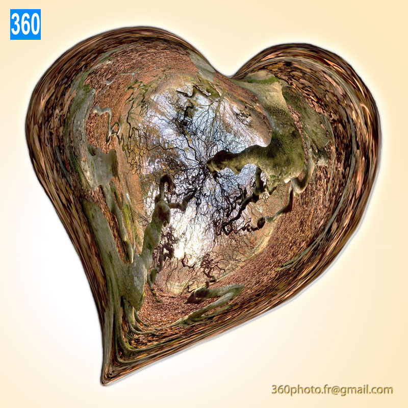 Leasing de photos artistiques à 360° design - Coeur d'arbres forestiers - Edition numérotée