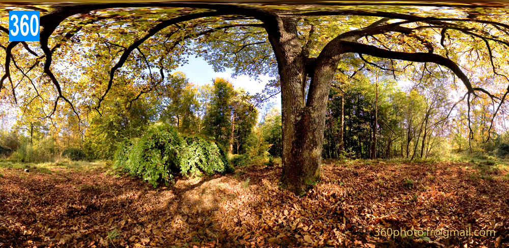 Paysage forestier automne. Location ou achat de photos à 360° artistique. Galerie 360 Photo