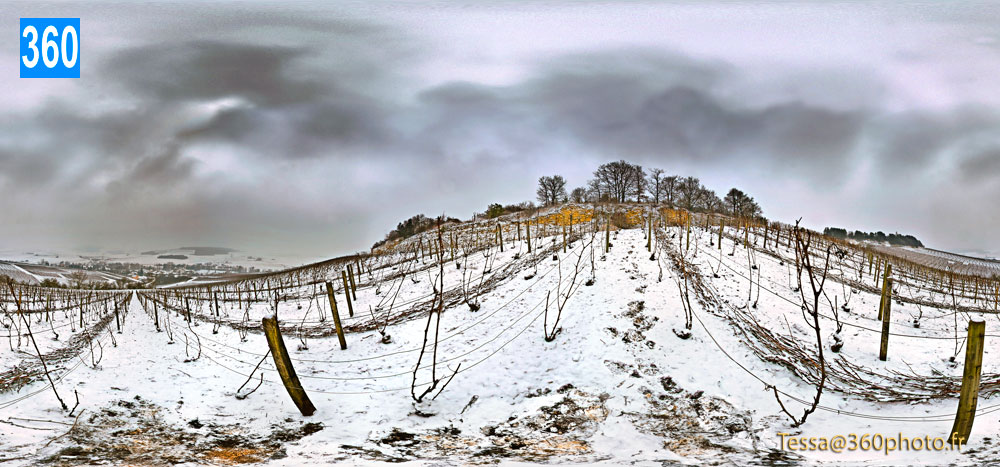 Photo Panorama 360. Vignoble sous la neige, AUBE. Achat ou en location avec option d'achat / Leasing. Livraison offerte. Choisir votre support d'accrochage